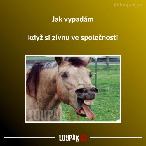  Asi to trošku prožívá 