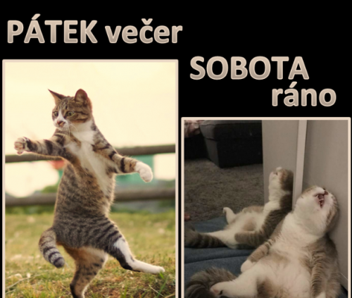  Večer 