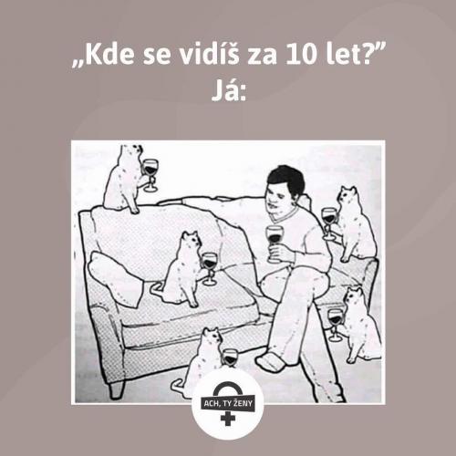 Jak to vidíš