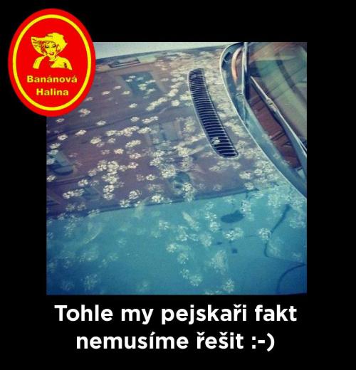 Pejskaři