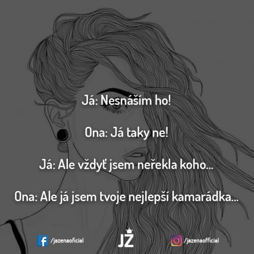 Nesnáím ho