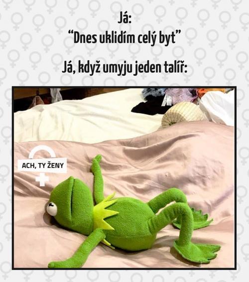  Uklidím celý by 