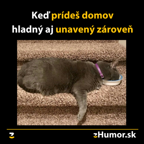  Dům 