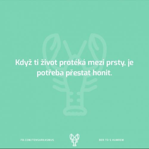 Životek