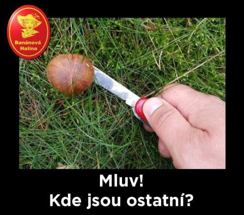 Mluv