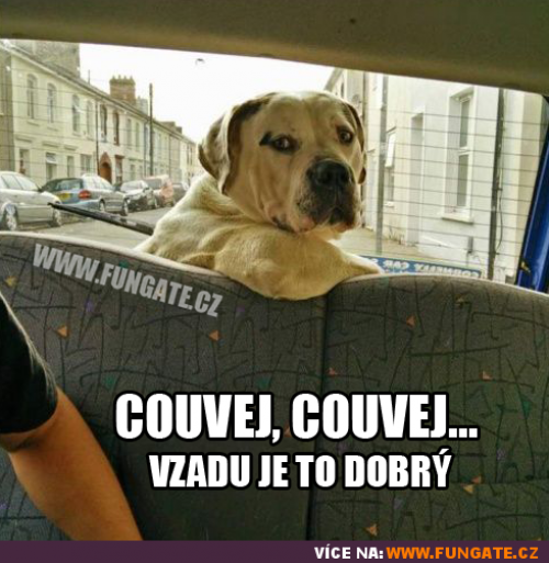 Couvej