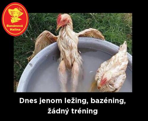 Ležing