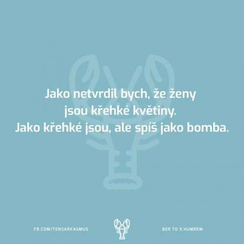 Netvrdil bych