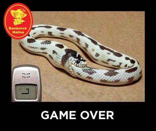  Game over 