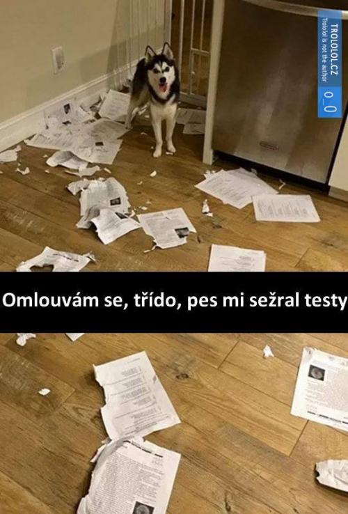 Omlouvám se