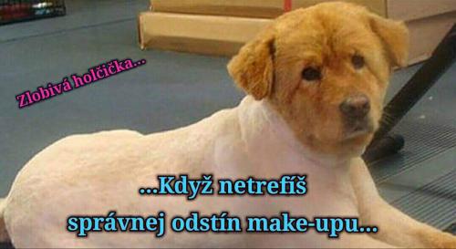 Netreféš