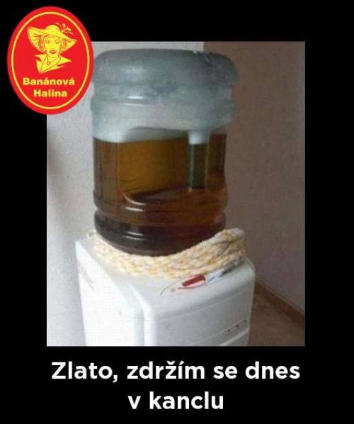  Zlato 