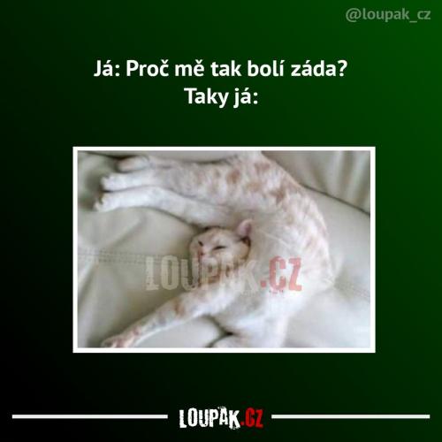  Nikdo neví, proč to tak je 