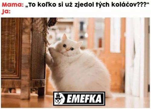  Koláče 