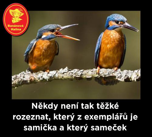 Rozeznat