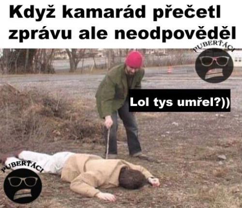  Kamarád 