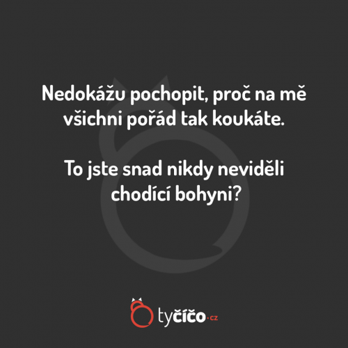 Nedokážu to pochopit