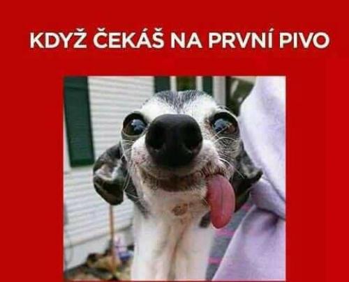  Prnví pivo 