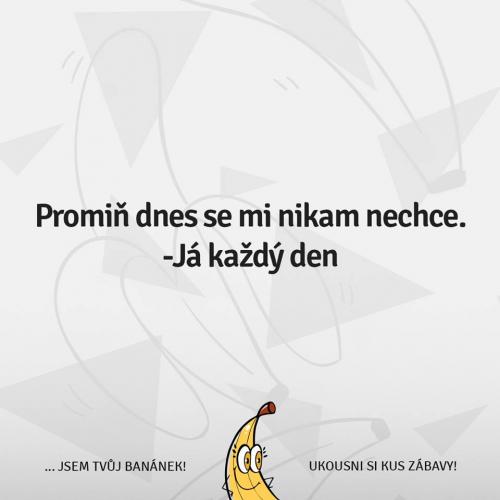 Promiň
