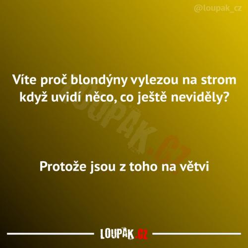  Nikdo neví, proč to dělají 