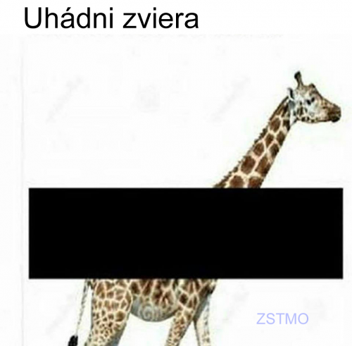 Uhádni