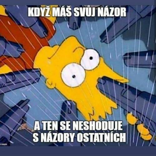  Názor 