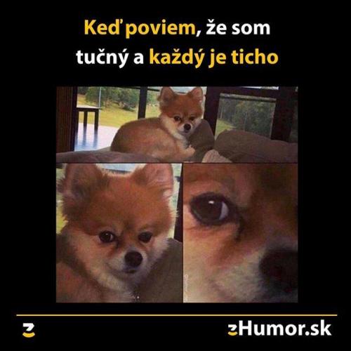  Ticho už 