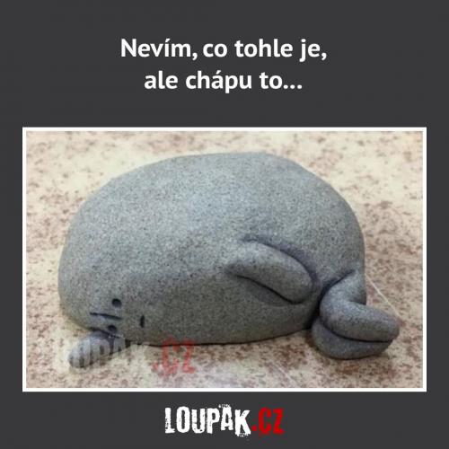  Co tohle je 