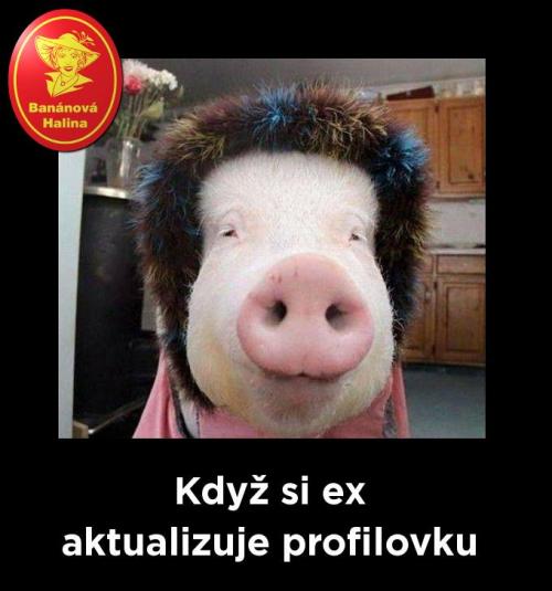  Když si ex 