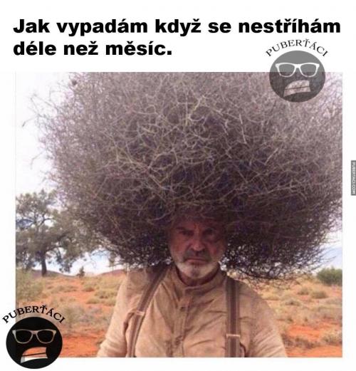 Nestříhám