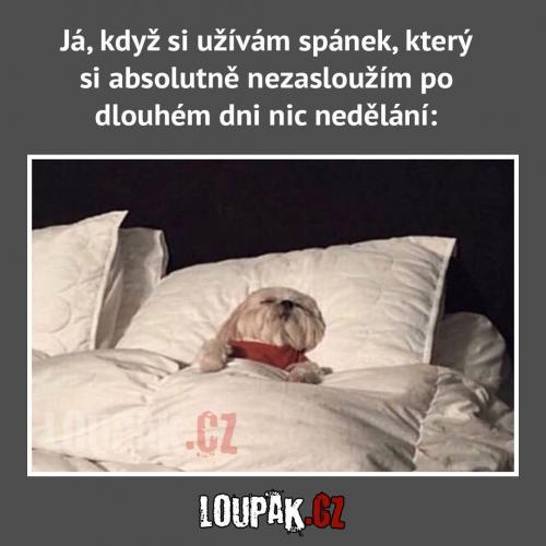 Nicnedělání