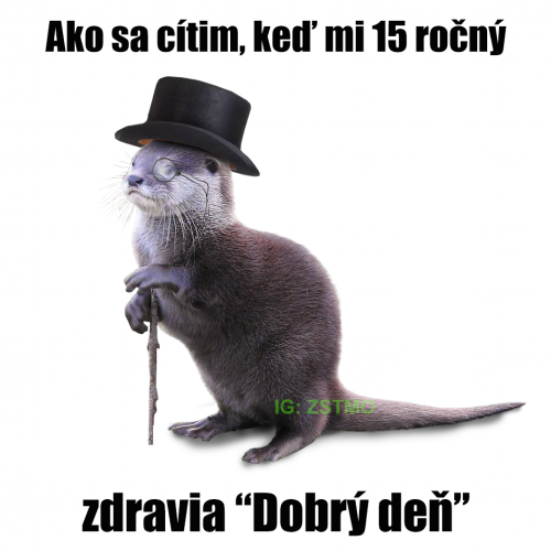 Dobrý dne