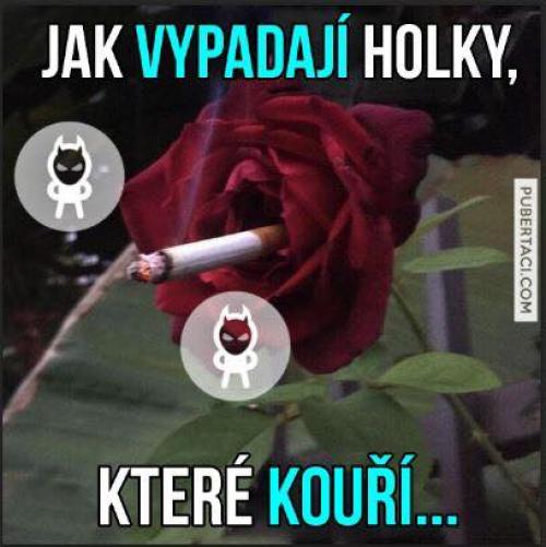  Holky 