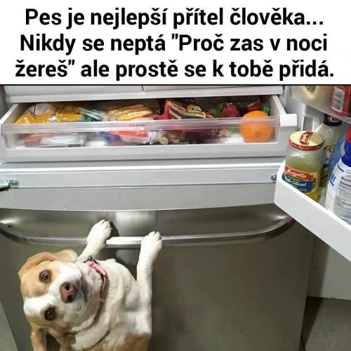  Přítel 