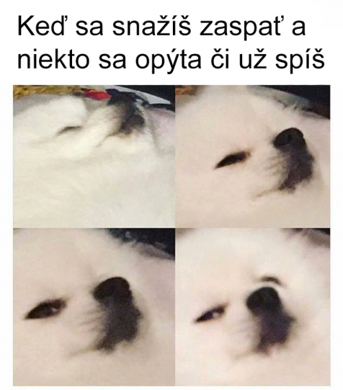 Spím