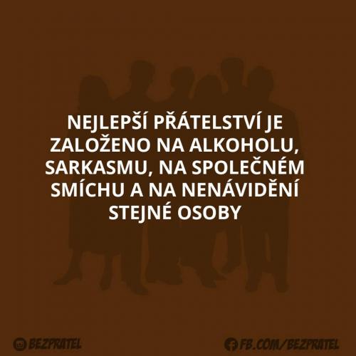  Nejlepší přátelství 