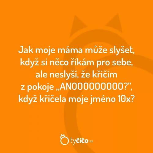  Moje máma 