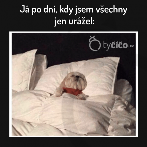  Všichni lidé 