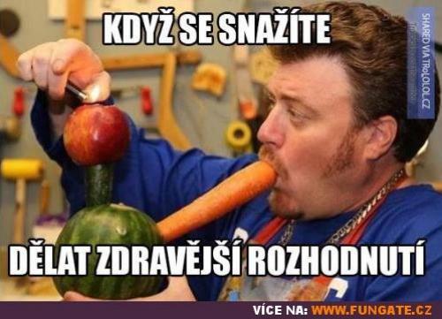  Rozhodnutí 