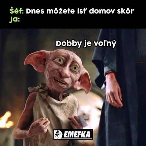  Dobby 