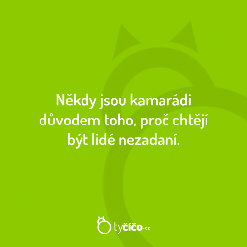  Důvod 