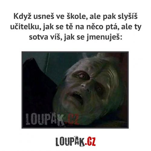  Učitelka 