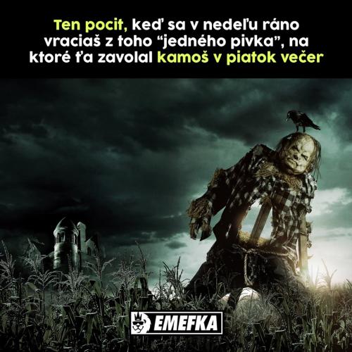  Návrat 