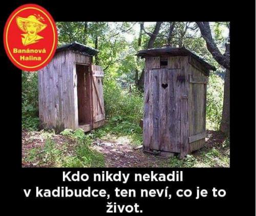 V kadbudce