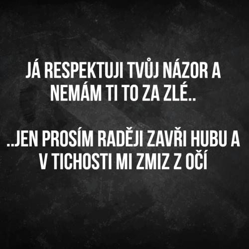  Respektuji názor 