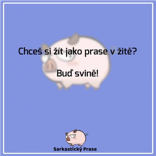  Buď svi#er 