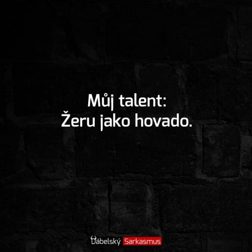  můj talent 