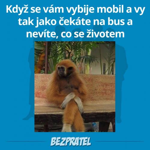  Zivot 