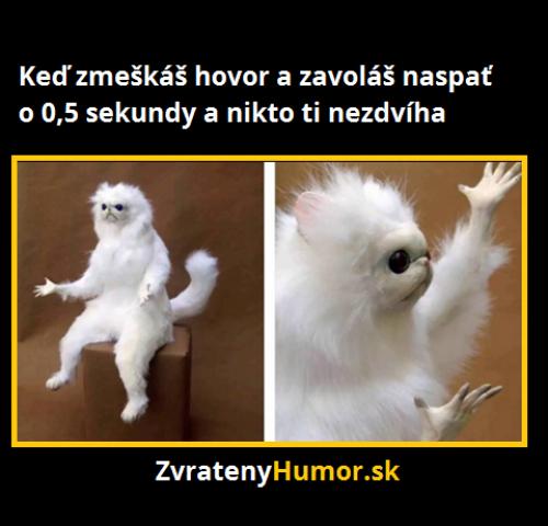  Zmeškaný hovor 