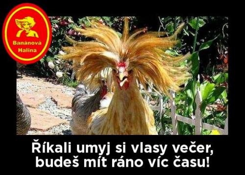  Umyj si vlasy 